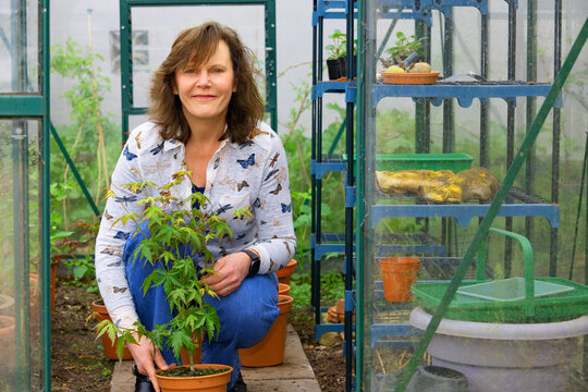 Crouching beside pot plants in the greenhouse.