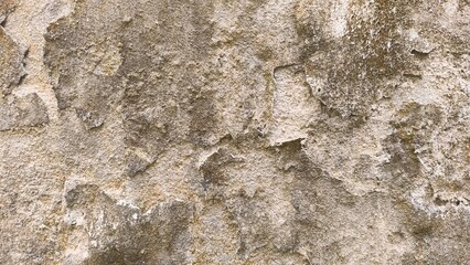 Obraz premium Weathered, rough concrete wall texture with peeling render and earthy tones, showcasing decay and grunge.