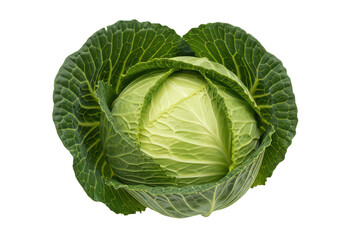 Fototapeta premium A fresh vibrant green cabbage head with detailed leaf texture presented on transparent background