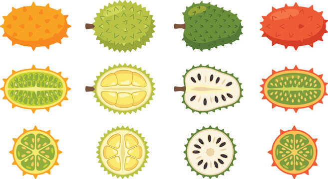 Exotic Spiky Fruit Vector Set Featuring Gac, Soursop, and Durian with Whole Fruits, Cross Sections, and Slices in Flat Style Tropical Food Illustration