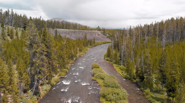 Yellowstone Creek overhead aerial view. Park forest from a drone viewpoint. Slow motion