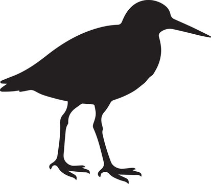 elegant black and white sandpiper shorebird silhouette vector illustration isolated on white background