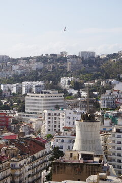 Sacred Heart Cathedral of Algier - church in Algeria