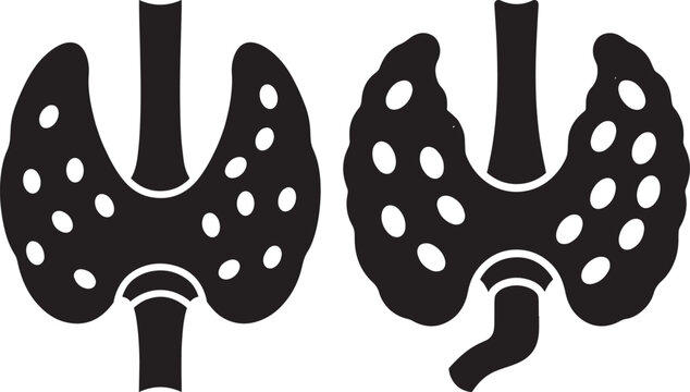 Thyroid gland illustration in medicine and health symbols