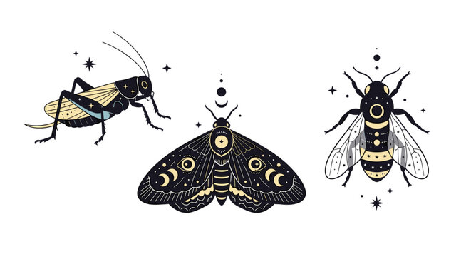 Set of three intricate mystical insects including a grasshopper, moth, and bee decorated with moons and stars in an occult art style.