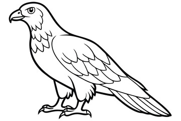 Fototapeta premium buzzard bird silhouette line art vector illustration with a white background