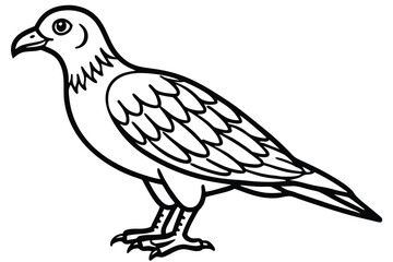Fototapeta premium buzzard bird silhouette line art vector illustration with a white background