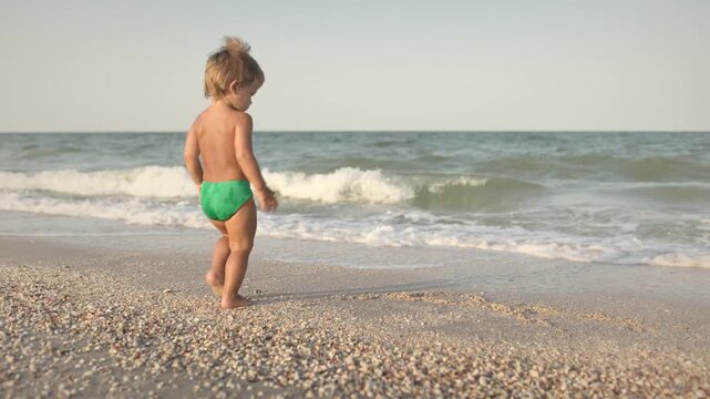 Kid collects shells and pebbles in the sea on a sandy bottom under the summer sun on a vacation