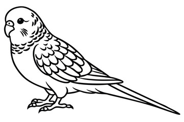 Fototapeta premium budgerigar bird silhouette line art vector illustration with a white background