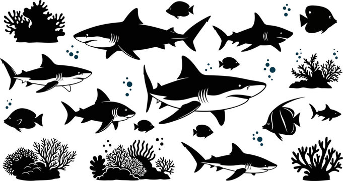 Black silhouettes of sharks and fish swimming near coral reefs on white background