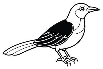 Obraz premium bowerbird silhouette line art vector illustration with a white background