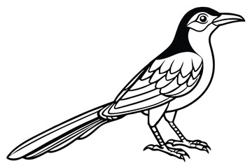 Obraz premium bowerbird silhouette line art vector illustration with a white background