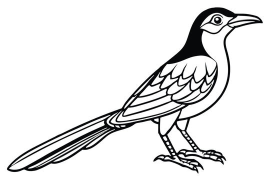 bowerbird silhouette line art vector illustration with a white background