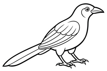 Fototapeta premium bowerbird silhouette line art vector illustration with a white background