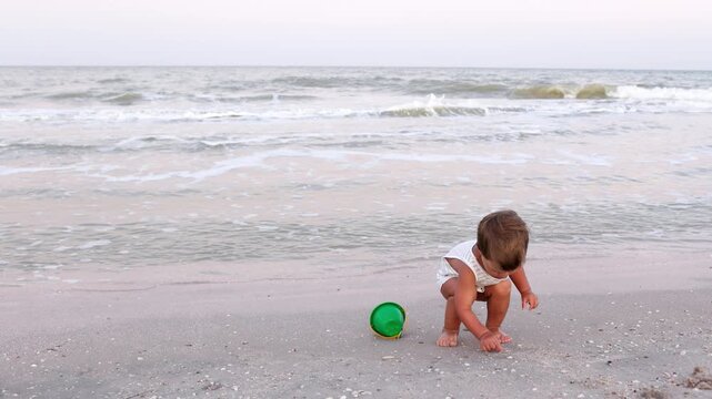 Kid collects shells and pebbles in the sea on a sandy bottom under the summer sun on a vacation