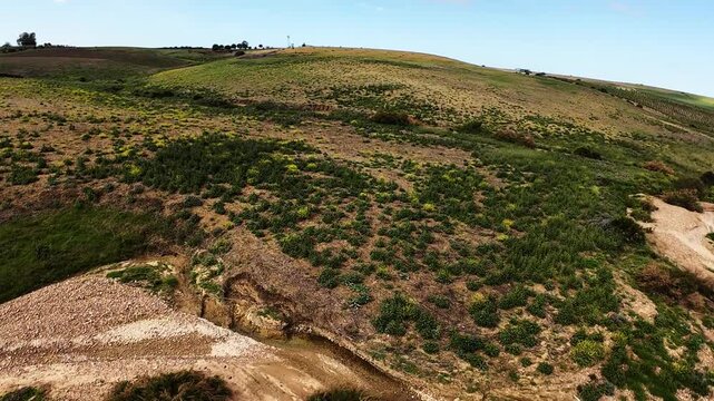 Vuelo sobre campo con dron FPV 2