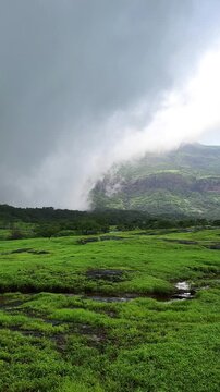 Hiwala Waterfall flows gracefully in stunning vertical 4K, surrounded by lush greenery, misty cliffs, and the refreshing beauty of nature in its purest form.