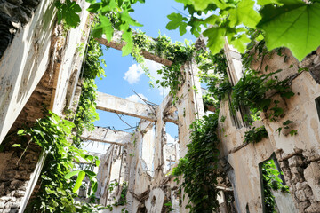 Obraz premium Post apocalyptic cityscape featuring overgrown ruins with vines and blue sky, evoking sense of nature reclaiming space