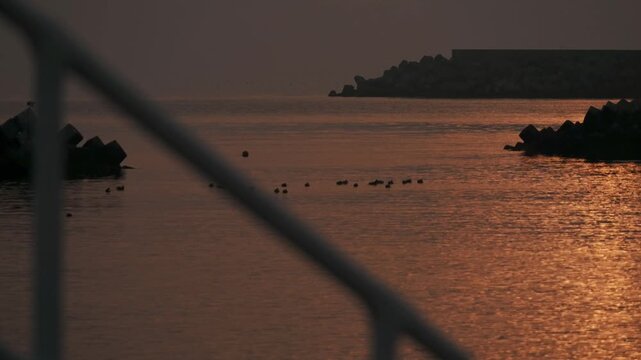 防波堤の階段から見る波けしブロックのある夕日の海