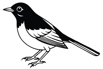 Obraz premium american robin silhouette line art vector illustration with a white background