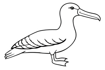Obraz premium albatross bird silhouette line art vector illustration with a white background