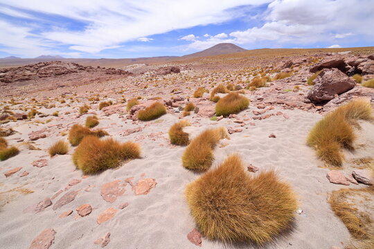 Cerro San Bartolome, Andes, Bolivia