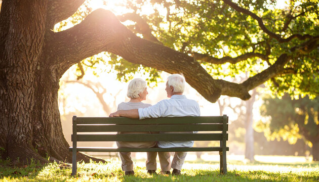 Warm sunlight glows over a retired couple sitting on a park bench under a grand tree. This peaceful image symbolizes lifelong companionship and security for senior living concepts.