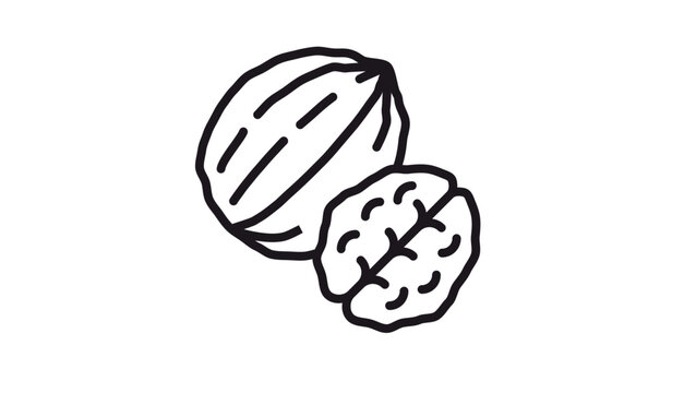 Black and white vector icon illustration of a whole walnut in its shell and a shelled walnut kernel, minimalist line art symbol for healthy snacks, organic ingredients, and brain food.