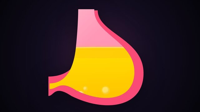 Colorful abstract illustration of human stomach with liquid