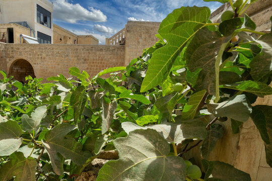 Historic stone architecture in Midyat, Mardin, showcasing traditional Middle Eastern and Anatolian design under blue sky