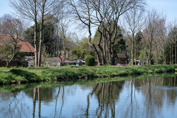 Fototapeta premium Nature reflections on Beverlo Canal in Balen