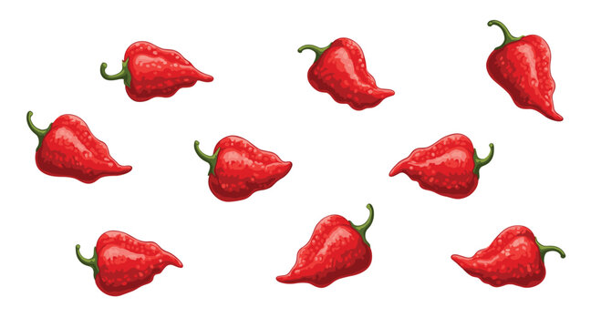 A collection of small textured red chili peppers is scattered across a pristine white background showcasing bumpy skins and organic shapes in varied positions.