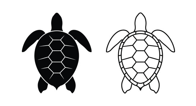 Two black and white turtle illustrations showcasing different shell patterns and perspectives