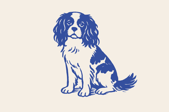Cute Cavalier King Charles spaniel doodle vector illustration with sitting dog and hand drawn pet character