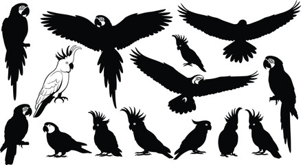 Parrot and cockatoo silhouettes set, flying and sitting tropical birds collection, black animal shapes, wildlife vector illustration © Prodip