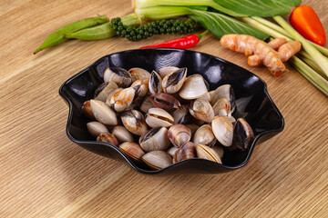 Raw fresh wild clams mollusc © Andrei Starostin