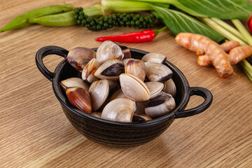 Raw fresh wild clams mollusc © Andrei Starostin