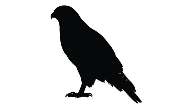 Silhouette of a hawk perched with its talons extended facing left