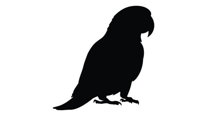Fototapeta premium Silhouette of a parrot perched displaying its beak and feathered form