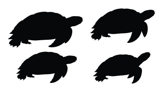 Four black silhouettes of turtles in varying poses are displayed on a white background