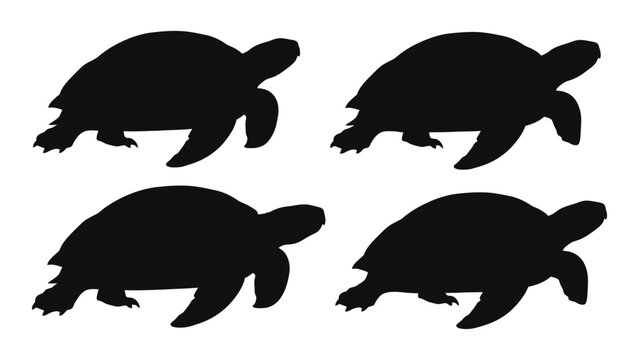 Four black silhouettes of turtles in varying poses and sizes are displayed