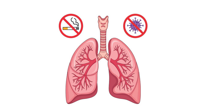 Vector graphic illustration showing human lungs with prohibition signs for smoking and also dangerous viral infections