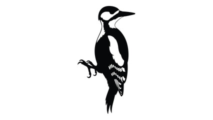 Fototapeta premium A striking black and white illustration of a woodpecker perched on a branch
