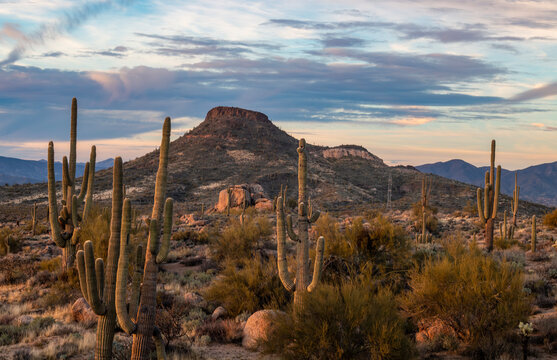Desert Landscape Scenery At Browns Ranch Trailhead In North Scottsdale