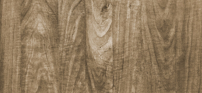 "High-resolution monochromatic wood grain textures across all color palettes."