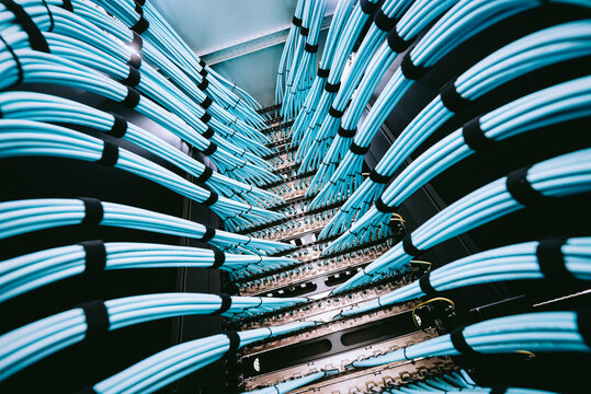 Blue Network Cables in Data Center Setup