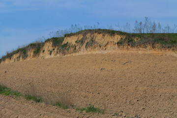 Loess escarpment in farmland providing habitat for pollinators and biodiversity. Important ecological feature supporting wild bees, insects and sustainable agriculture © Maciej Bonk