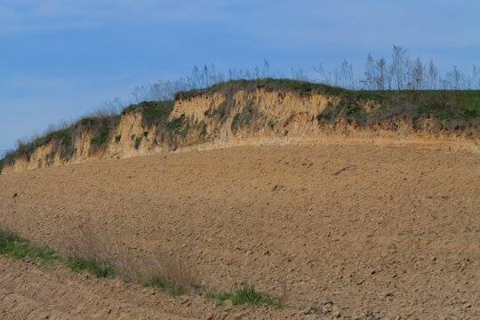 Loess escarpment in farmland providing habitat for pollinators and biodiversity. Important ecological feature supporting wild bees, insects and sustainable agriculture