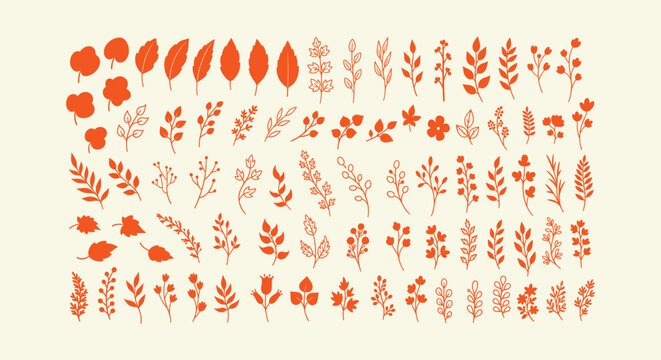 Hand drawn orange autumn botanical leaves and floral branches set vector elements for fall design