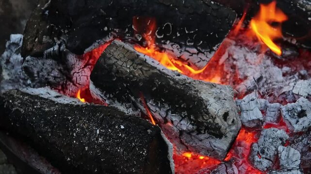 Close-up of burning firewood in a bonfire. Detailed video of the texture of burning wood. Red tongues of flame between the logs. Cozy atmosphere of an evening fire and warmth.